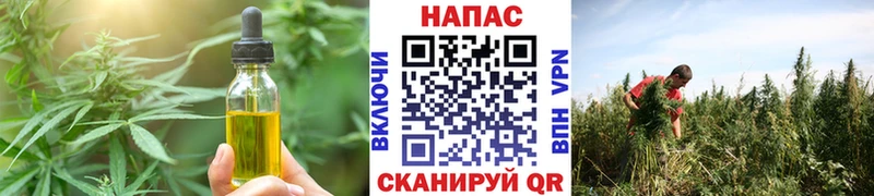 Печенье с ТГК конопля где можно купить наркотик дарк нет как зайти Приморско-Ахтарск