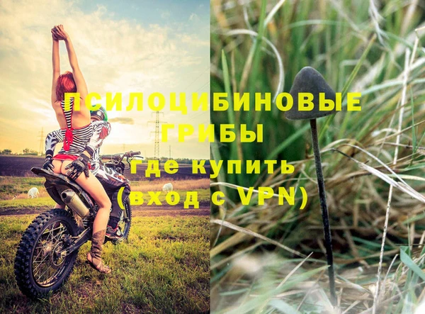 таблы Михайлов