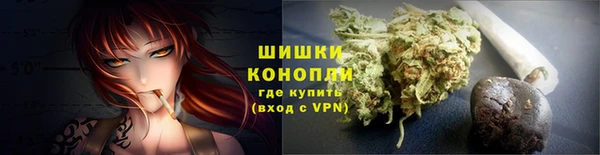 ГАЛЛЮЦИНОГЕННЫЕ ГРИБЫ Надым