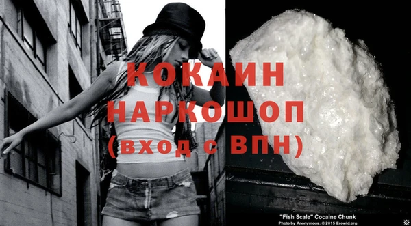 шишки Наволоки
