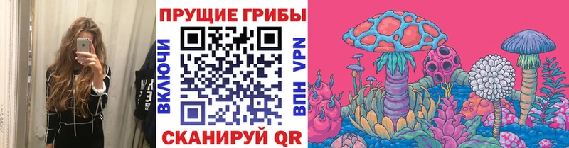 Псилоцибиновые грибы MAGIC MUSHROOMS  blacksprut онион  shop телеграм  Приморско-Ахтарск 