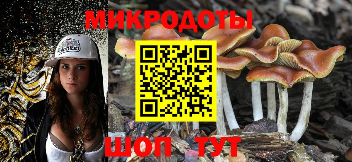 Псилоцибиновые грибы Psilocybe  Вход с VPN  Галлюциногенные грибы Magic Shrooms  Приморско-Ахтарск 
